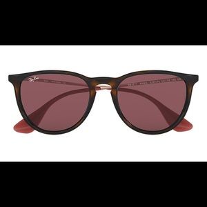 Ray-Ban Erika Sunglasses